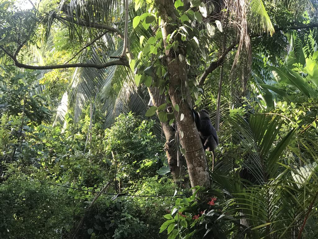 Mount Nature Villa Хиккадува Экстерьер фото