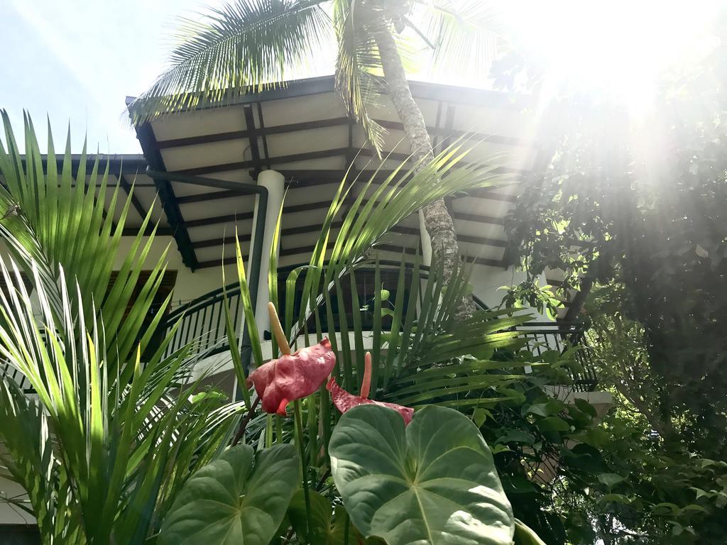 Mount Nature Villa Хиккадува Номер фото